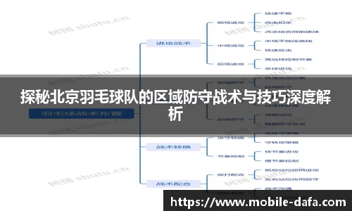 探秘北京羽毛球队的区域防守战术与技巧深度解析